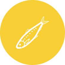 How to take Fish oil correctly?